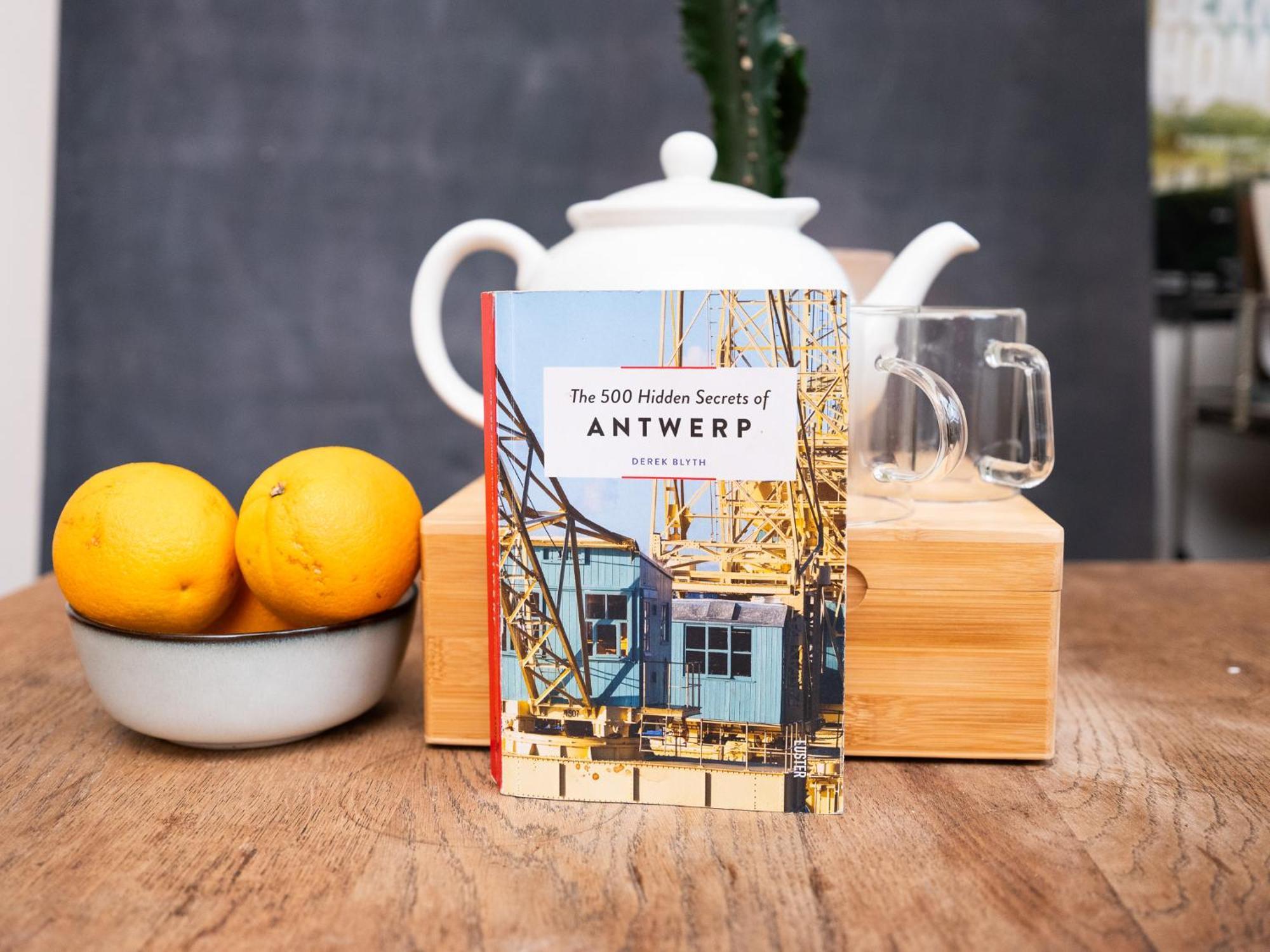 Antwerp Loft -Art And Chill- Parking Available Apartment Ngoại thất bức ảnh
